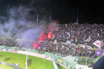 Fiorentina - Torino 1:1