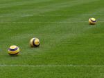 IMG_4925.JPG