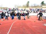 IMG_7998.JPG