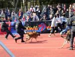 IMG_8004.JPG