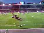 DSC03214.jpg