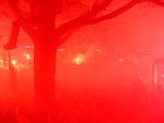 DSC02856.jpg