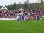 DSC02097-01.jpg