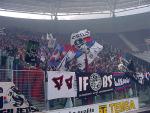 DSC01575-01.jpg