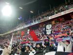 DSC01439.jpg