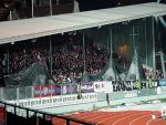 DSC01338.jpg