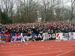 DSC00737.jpg