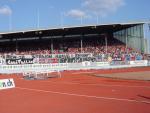 DSC07241.jpg