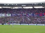 DSC06469.jpg
