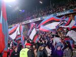 DSC08608.jpg