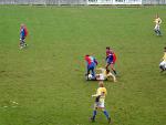 DSC00555.jpg