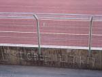 DSC05694.jpg