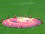 DSC04457.jpg