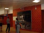 DSC04236.jpg