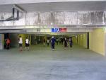 DSC04065.jpg