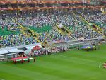 DSC03654.jpg