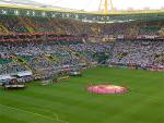 DSC03665.jpg