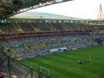 DSC03676.jpg