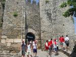 DSC03406.jpg