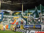 DSC00604.jpg
