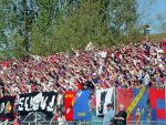 DSC01318.jpg