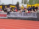 DSC01098.jpg