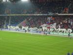 DSC03833.jpg