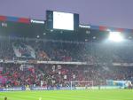 DSC02386.jpg