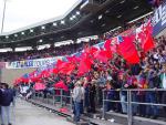 DSC01031.jpg