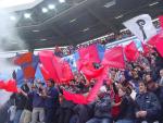 DSC01037.jpg