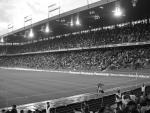 DSC00709.jpg