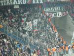 DSC08837.jpg