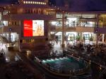 DSC08498.jpg