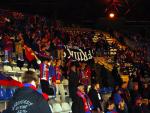 DSC08135.jpg