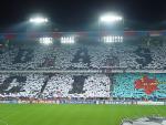DSC04674.jpg
