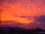 DSC02528.jpg