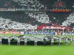 DSC01611.jpg