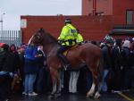 DSC00328.jpg
