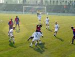 DSC07537.jpg