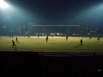 DSC07377.jpg