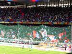IMG 6257